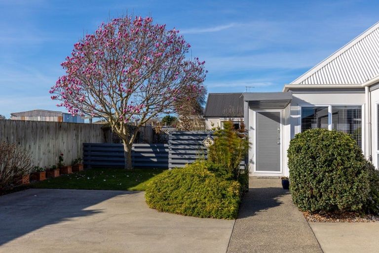 Photo of property in 8 Adams Lane, Springlands, Blenheim, 7201