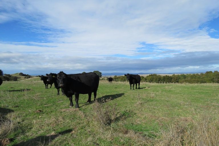Photo of property in 507 Apley Road, Puketapu, Napier, 4184