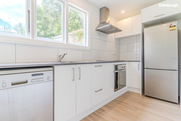 Photo of property in 51 Mechanic Street, North East Valley, Dunedin, 9010