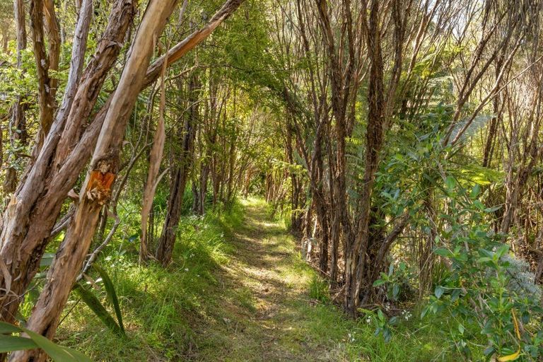 Photo of property in 368 Kaimarama Road, Kaimarama, Whitianga, 3591