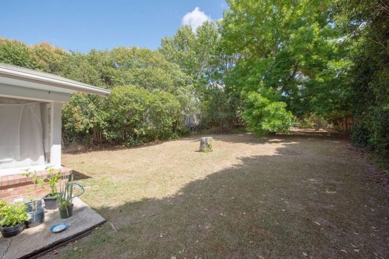 Photo of property in 1/22 Margaret Place, Milford, Auckland, 0620