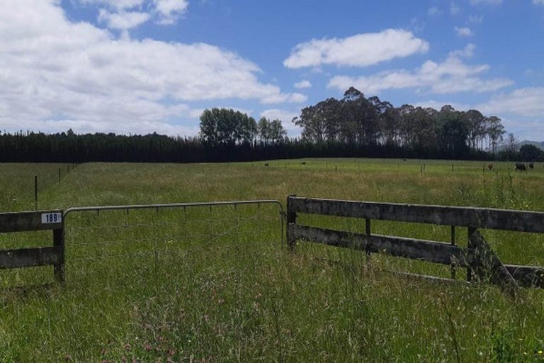 Photo of property in 189 Browns Road, Kaikohe, 0474
