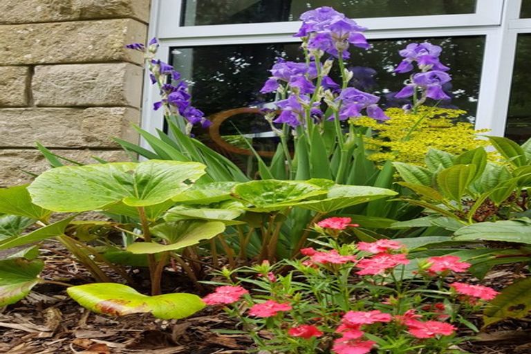 Photo of property in 26b High Street, Glenholme, Rotorua, 3010