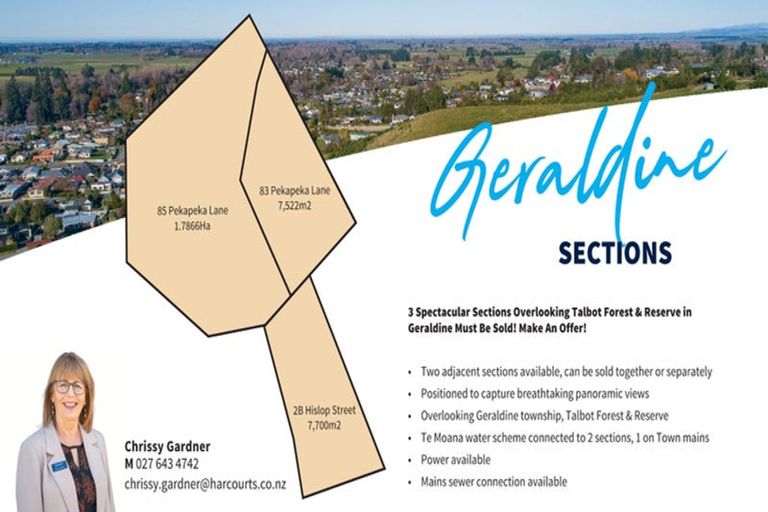 Photo of property in 85 Pekapeka Lane, Geraldine, 7930