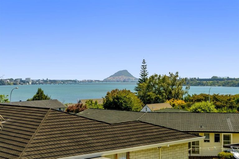 Photo of property in 343 Maungatapu Road, Maungatapu, Tauranga, 3112