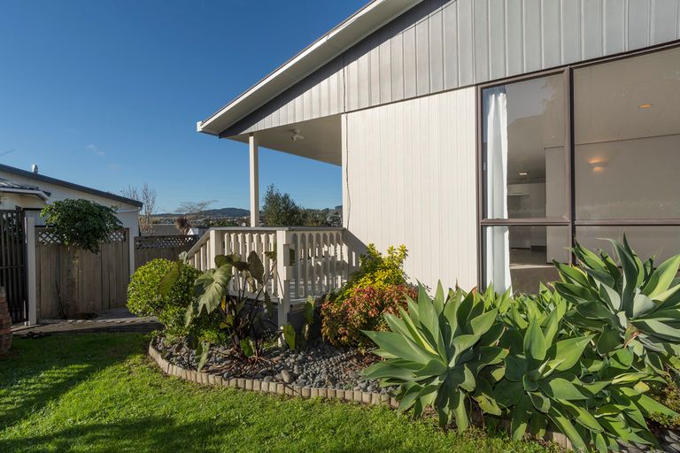 Photo of property in 26b Hinerua Street, Maungatapu, Tauranga, 3112