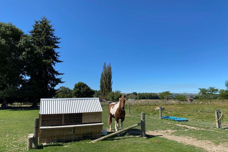 Photo of property in 139 Nixons Road, Fairlie, 7987