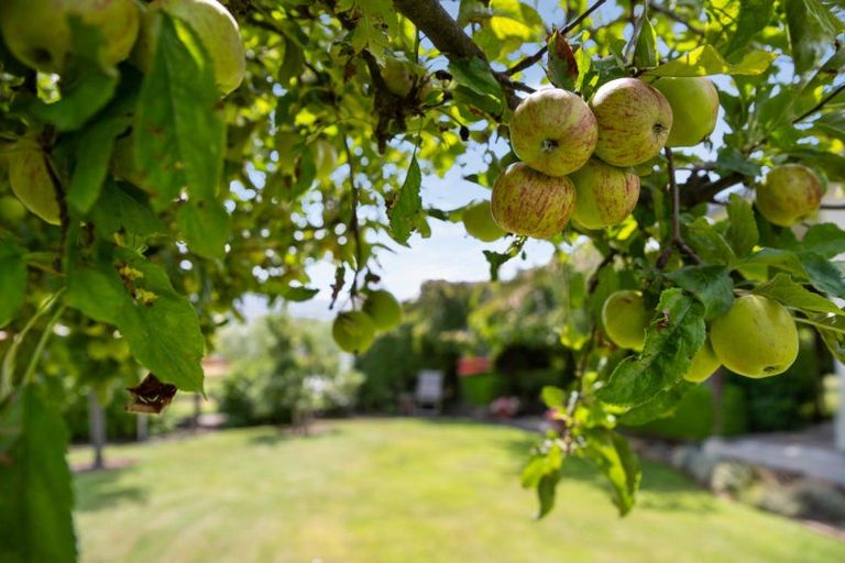 Photo of property in 101 Newcastle Street, Clyde, 9330