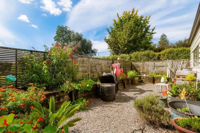 Photo of property in 31 No 1 Road, Te Puke, 3119