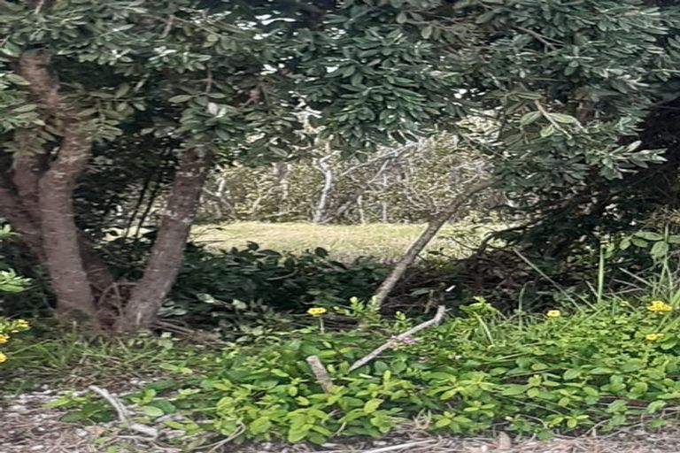 Photo of property in 73 Pipiroa Road, Ngatea, 3503