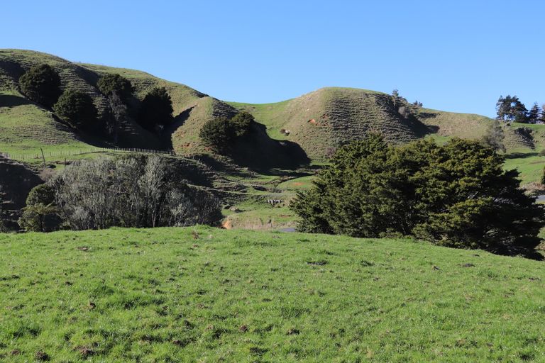 Photo of property in 1141 Waingaro Road, Glen Massey, 3793