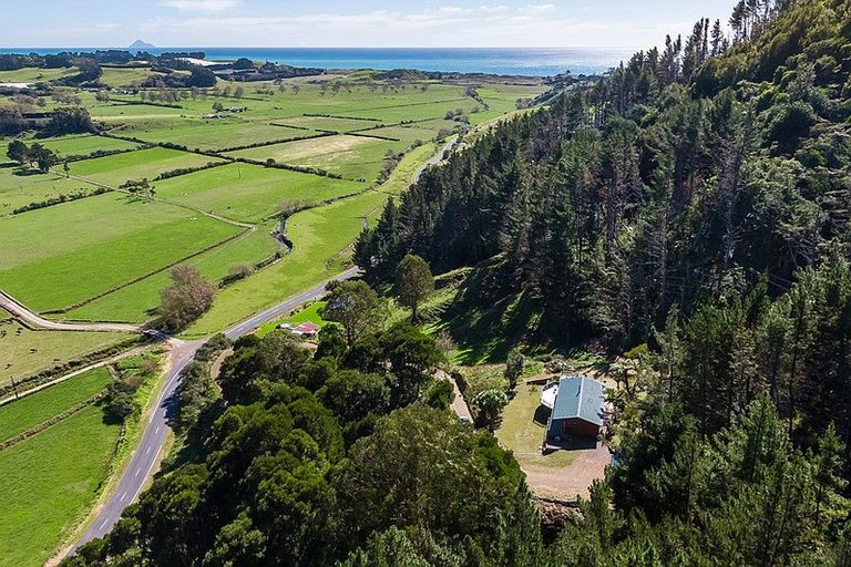 Photo of property in 179 Tirohanga Road, Tirohanga, Opotiki, 3197