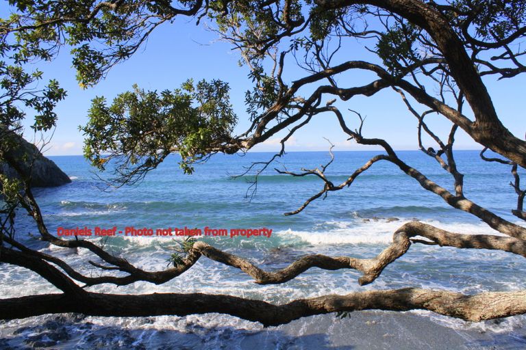 Photo of property in 80-82 Lax Crescent, Leigh, 0985