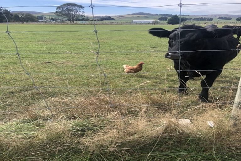 Photo of property in 60 Lumsden Dipton Highway, Lumsden, 9794