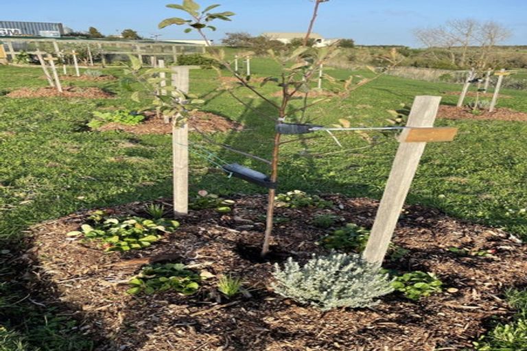 Photo of property in 301 Mercer Ferry Road, Mercer, Tuakau, 2696