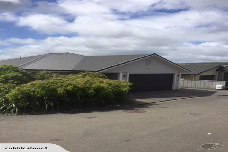 Photo of property in 46 Hawtrey Terrace, Churton Park, Wellington, 6037