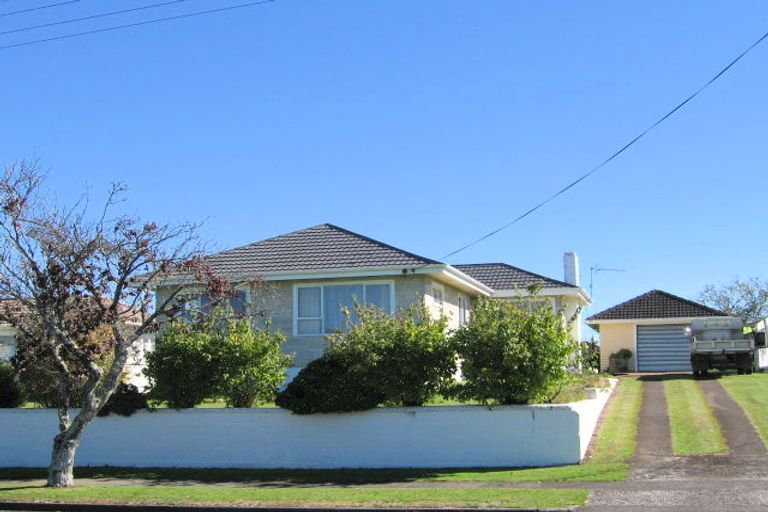 Photo of property in 52 Neal Street, Putaruru, 3411