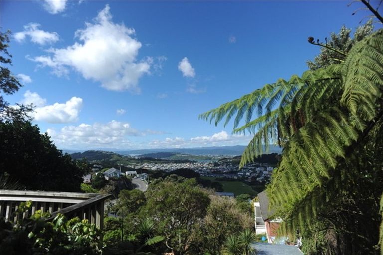 Photo of property in 149 The Ridgeway, Mornington, Wellington, 6021