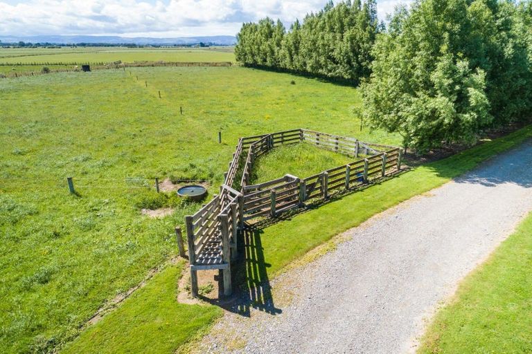 Photo of property in 707 Aranui Road, Kairanga, Palmerston North, 4475