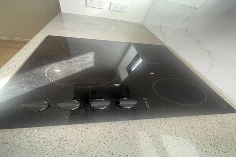 Photo of property in 3 Lemon Tree Lane, Flat Bush, Auckland, 2019