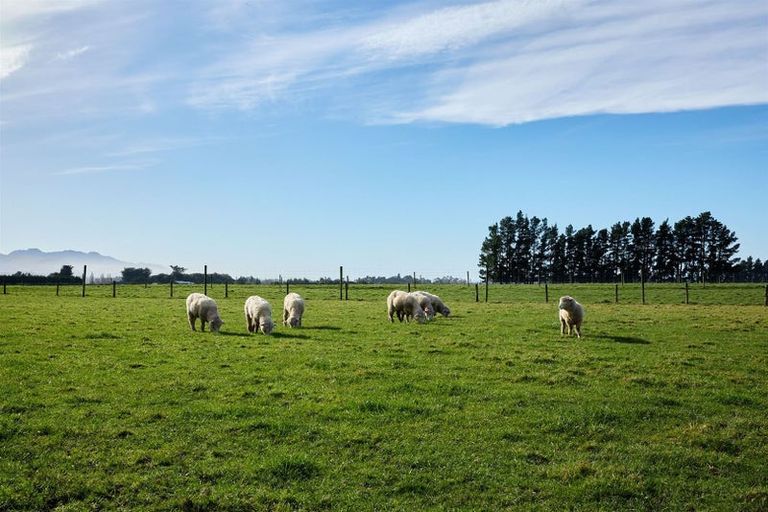 Photo of property in 238 Red Swamp Road, Kaikoura Flat, Kaikoura, 7371