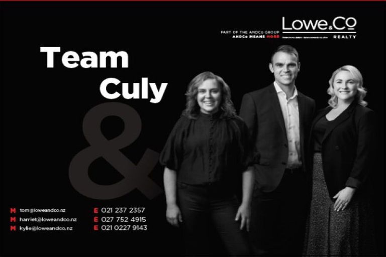 Photo of property in 154 Owen Street, Newtown, Wellington, 6021