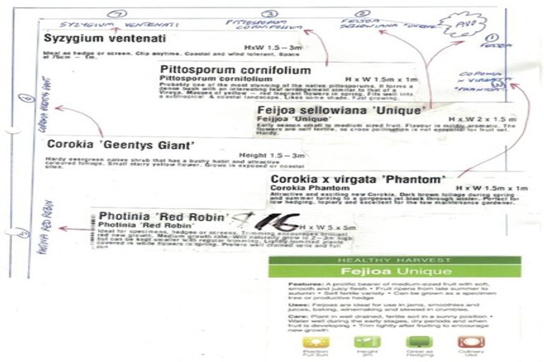 Photo of property in 9a Humber Crescent, Gate Pa, Tauranga, 3112