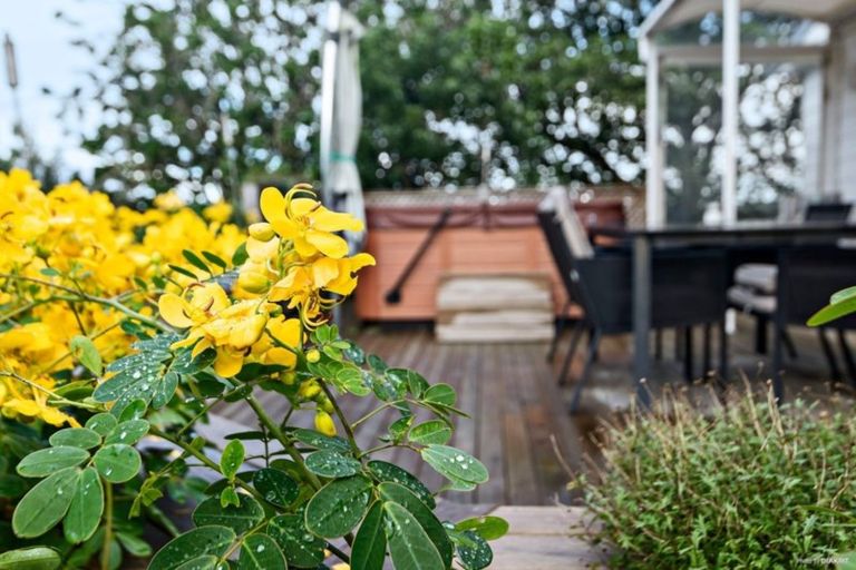 Photo of property in 559 Harrisville Road, Buckland, Pukekohe, 2677