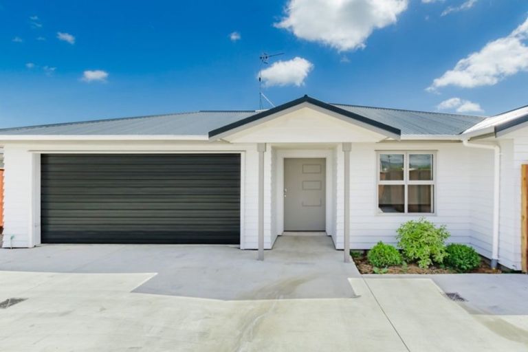 Photo of property in 91 Tiro Tiro Road, Levin, 5510