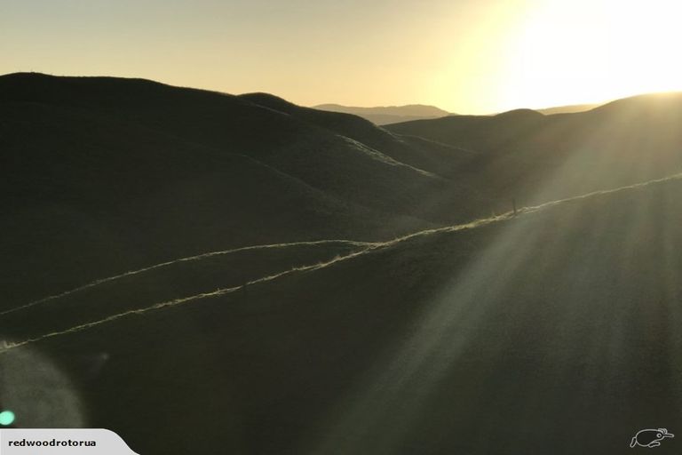 Photo of property in 8 Manawa Road, Lynmore, Rotorua, 3076