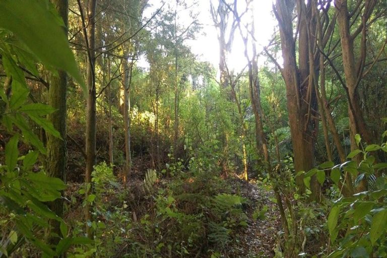 Photo of property in 53b Cemetery Road, Te Arai, Wellsford, 0975