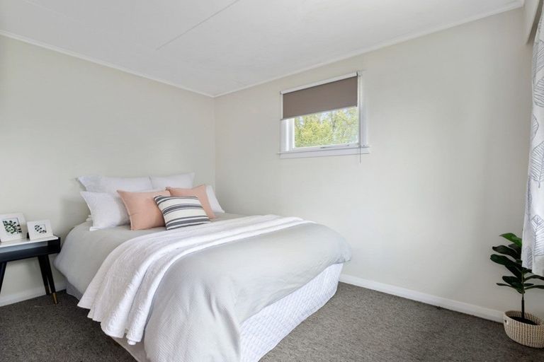 Photo of property in 19 Hale Street, Blenheim, 7201