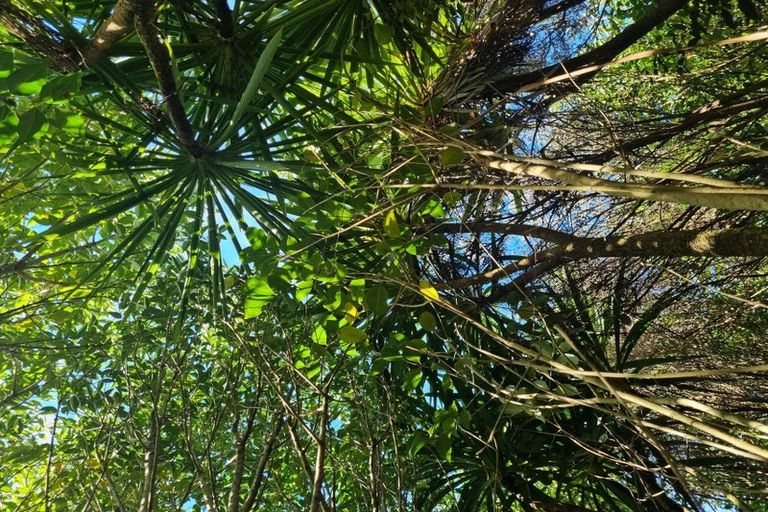 Photo of property in 11 Lusk Way, Patumahoe, Pukekohe, 2679