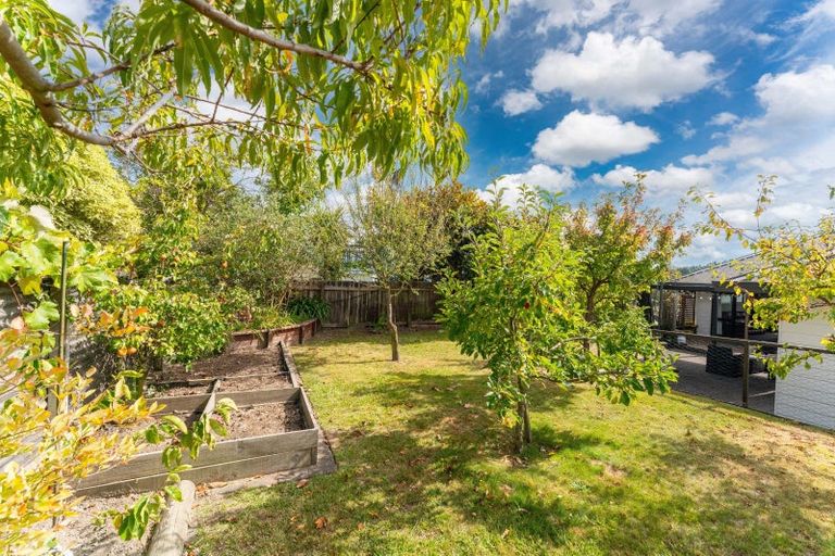 Photo of property in 66 Saint James Street, Richmond Heights, Taupo, 3330