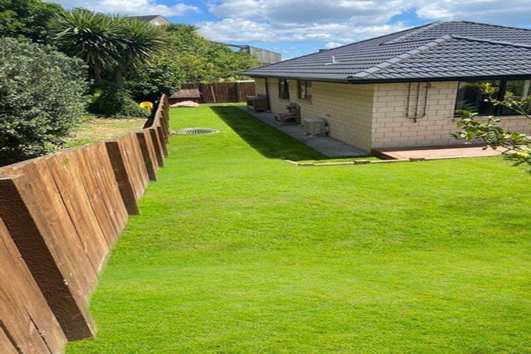Photo of property in 14 Winspear Place, Omokoroa, 3114