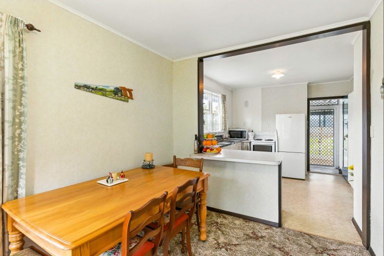 Photo of property in 45 Duke Street, Levin, 5510