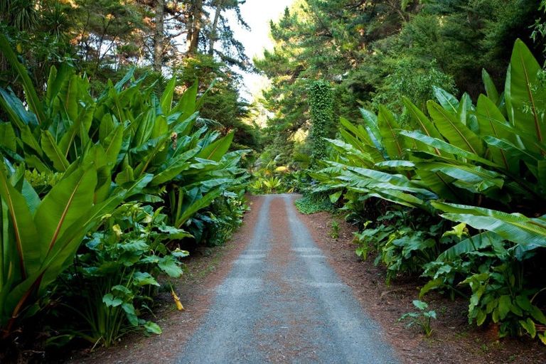 Photo of property in 72 Haigh Access Road, Redvale, Albany, 0794