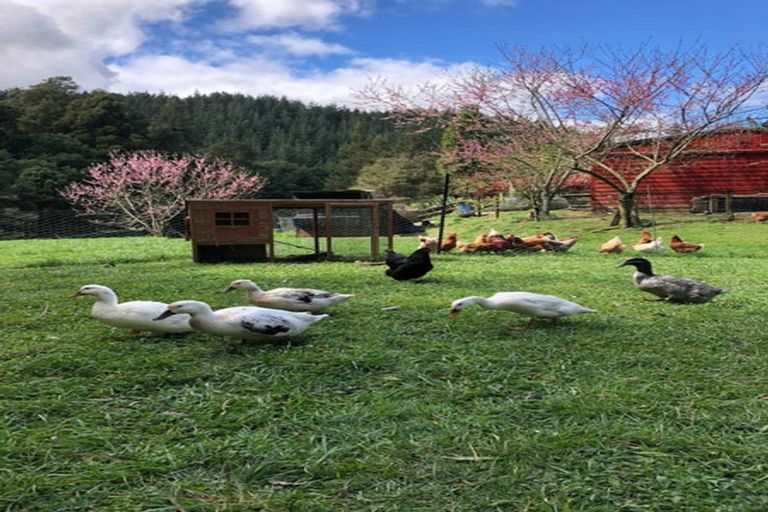 Photo of property in 944 Old Mountain Road, Waitetuna, Raglan, 3295