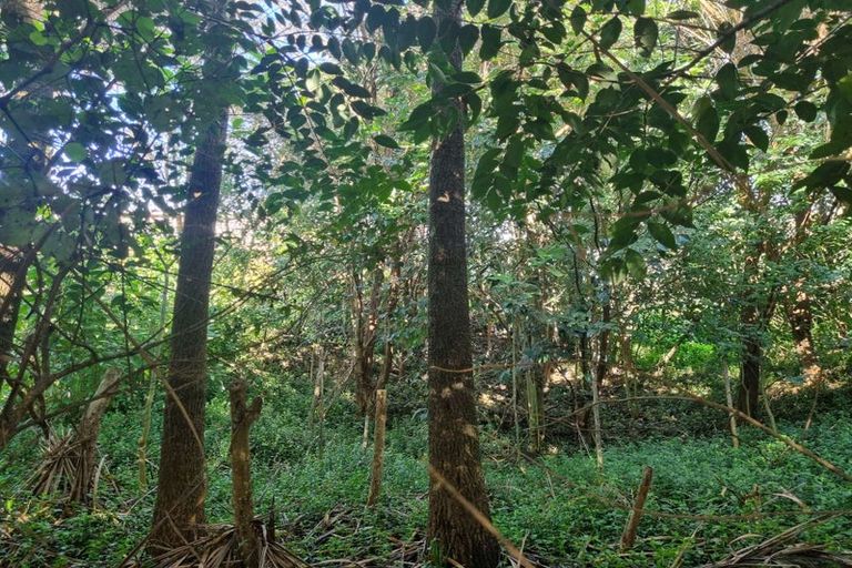 Photo of property in 11 Lusk Way, Patumahoe, Pukekohe, 2679