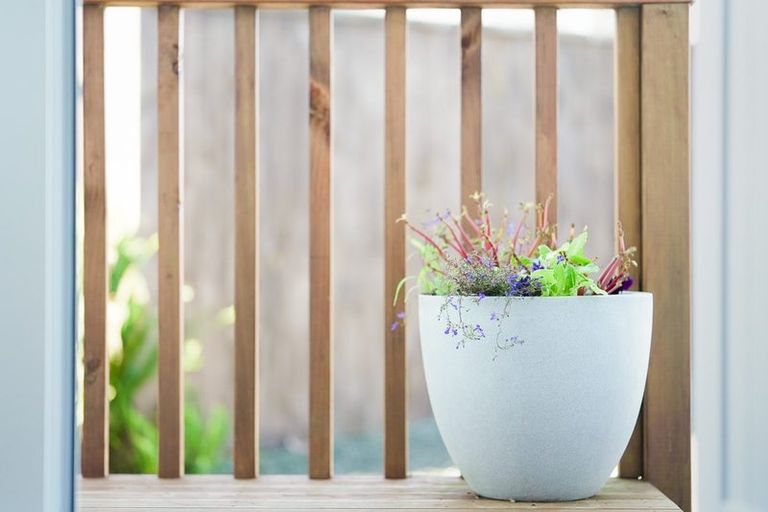 Photo of property in 9b Awatea Avenue, Paraparaumu, 5032