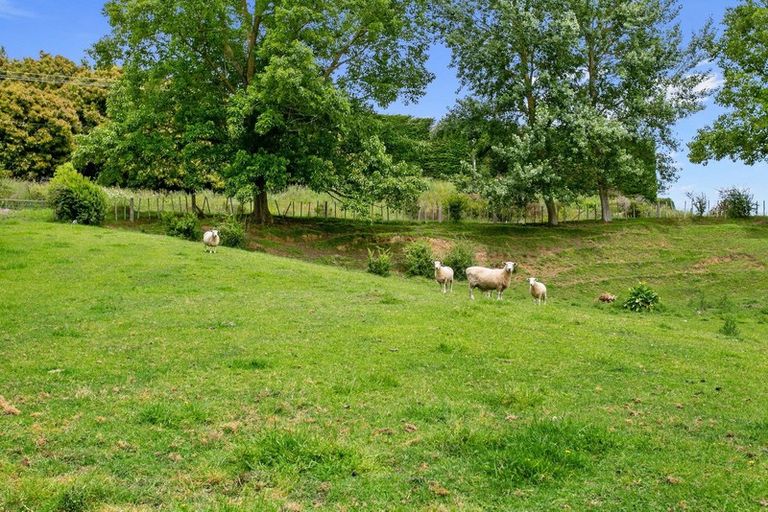 Photo of property in 782 Pokuru Road, Pokuru, Te Awamutu, 3875