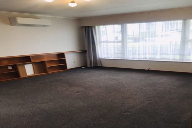 Photo of property in 149 Winchester Street, Levin, 5510