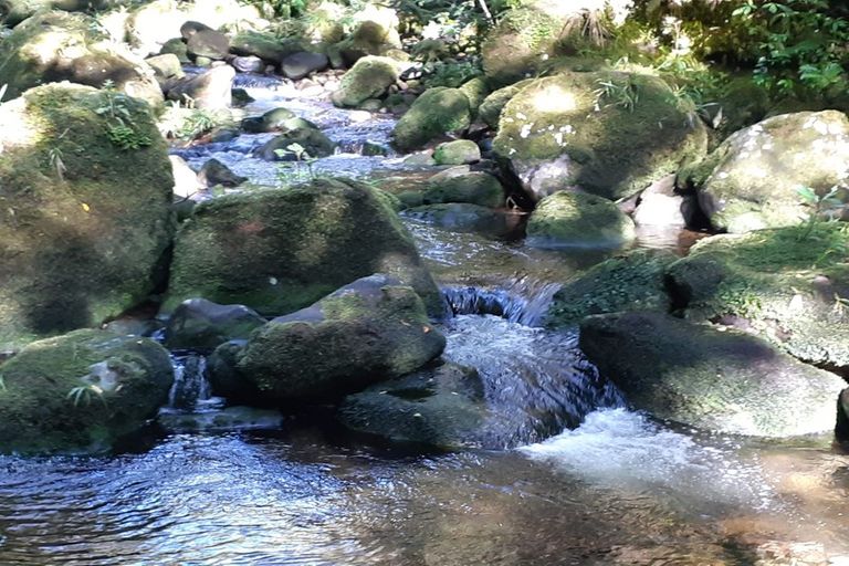 Photo of property in 1788 Mangorei Road, Mangorei, New Plymouth, 4371