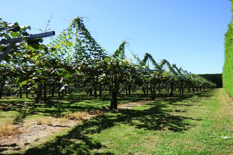 Photo of property in 266a Old Coach Road, Paengaroa, Te Puke, 3189