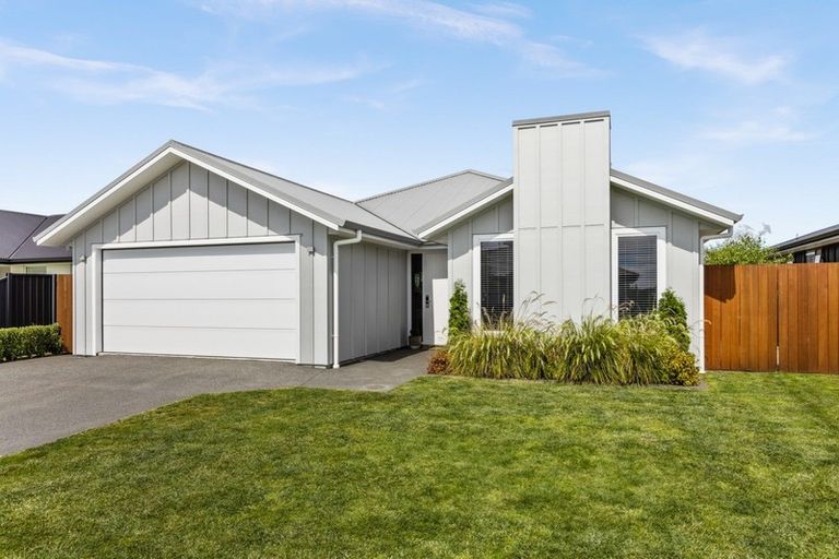 Photo of property in 62 Lochhead Street, Mahora, Hastings, 4120