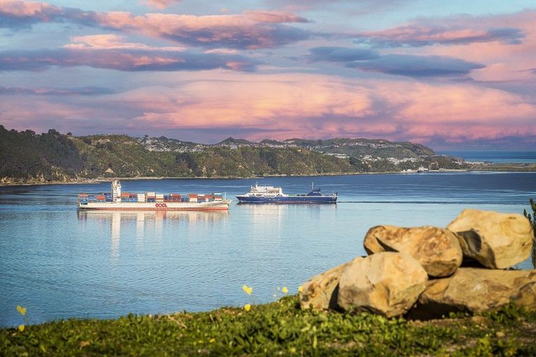 Photo of property in 29 Nanda Way, Khandallah, 6035