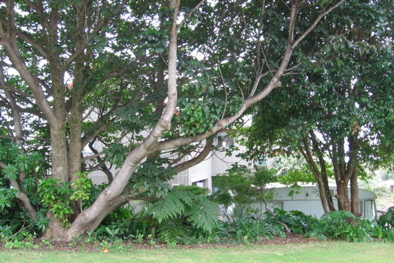 Photo of property in 33 Grierson Close, Hahei, Whitianga, 3591