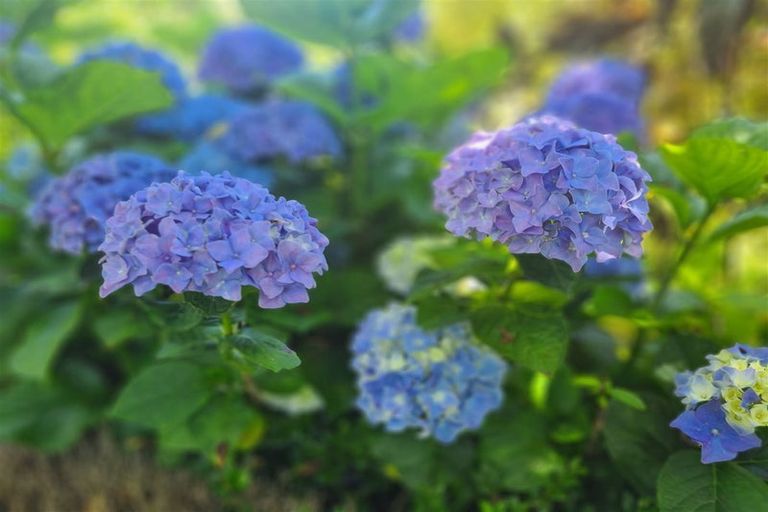 Photo of property in 76 Riverland Road, Kumeu, 0892