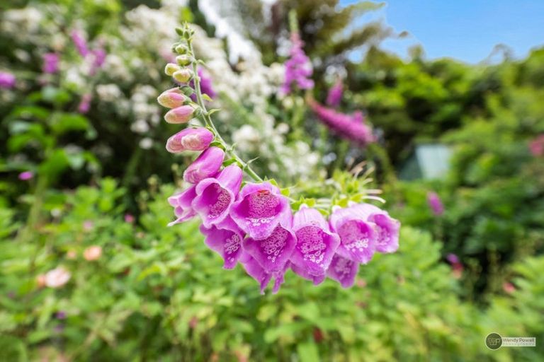 Photo of property in 6 Puriri Street, Wainuiomata, Lower Hutt, 5014