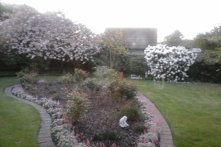 Photo of property in 3/12 Lagan Street, Belfast, Christchurch, 8051